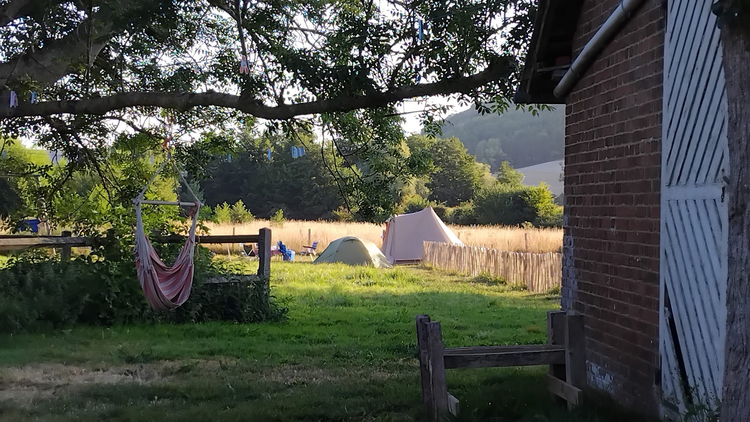 IMG_20260811_080040